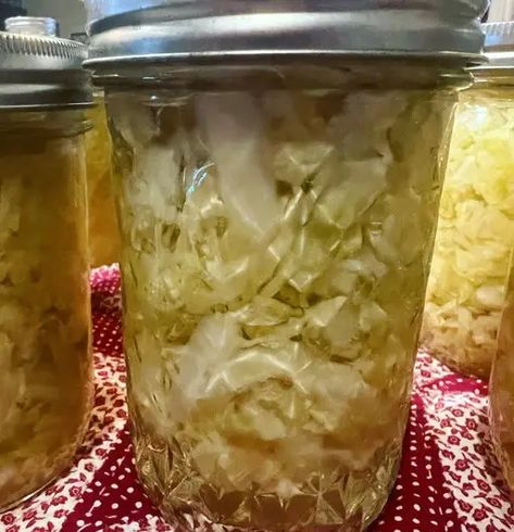 Canning Cabbage Recipes, Canning Cabbage, Pickled Brussel Sprouts, Raw Cabbage, Pickled Red Cabbage, Canning Salt, Easy Canning, Canned Food Storage, Pickled Cabbage