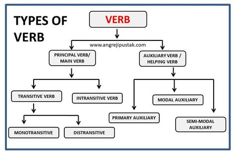 Verb Types, Verb Definition, Types Of Verbs, Intransitive Verb, Grammar Notes, English Grammar Notes, Modal Verbs, Main Verbs, Helping Verbs