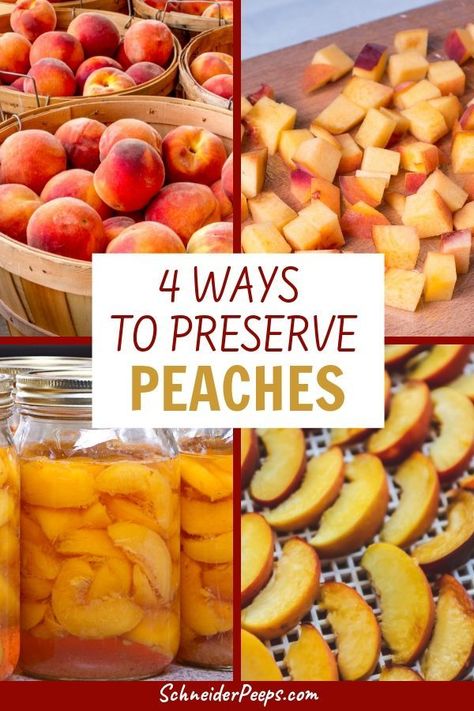 Preserve Peaches, Peel Peaches, Freezing Peaches, Fresh Peach Recipes, How To Peel Peaches, Canning Peaches, Canning Fruit, Canning Ideas, Peach Preserves