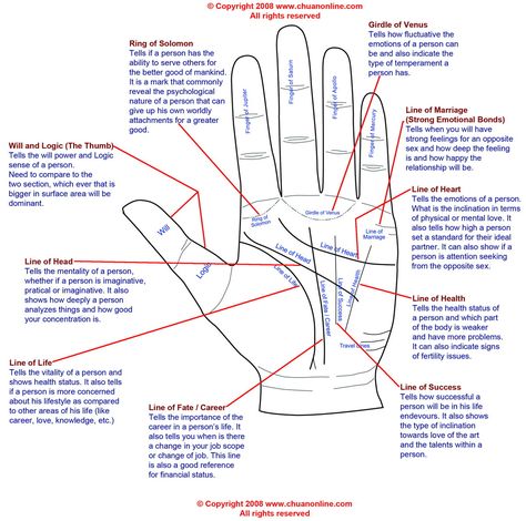 Believe in this stuff or not, palm reading is always an impressive party trick. With all the Halloween gatherings coming way, this should be fun to memorize so you can show off your new basic palm ... Basic Palm Reading, Palm Reading Charts, Palmistry Reading, Star Mandala, Magia Das Ervas, Reading Charts, Hand Palm, Palm Reading, Making Life Easier