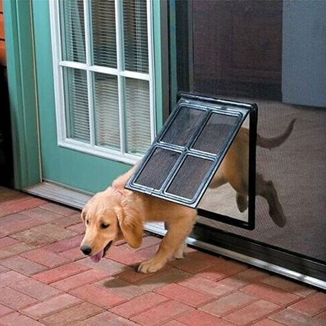 Amazon.com : Namsan Magnetic Automatic Lock/Lockable Pet Screen Door Inside Size 12x16 Inches Dog Door for Sliding Door for Doggy, Cat : Pet Supplies Electric Dog Door, Dog Screen Door, Pet Screen Door, Massive Dogs, Pet Doors, Pet Fence, Window Security, Pet Door, Dog Gate