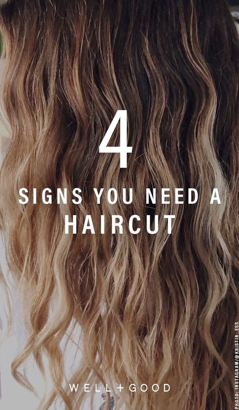 4 Signs That You Need a Haircut Braid Curls Overnight, French Braid Curls, Braid Curls, Eyeshadow Basics, Coconut Oil Face Mask, Beauty Rules, Contour Makeup Tutorial, Best Hair Mask, Tattoo Leg