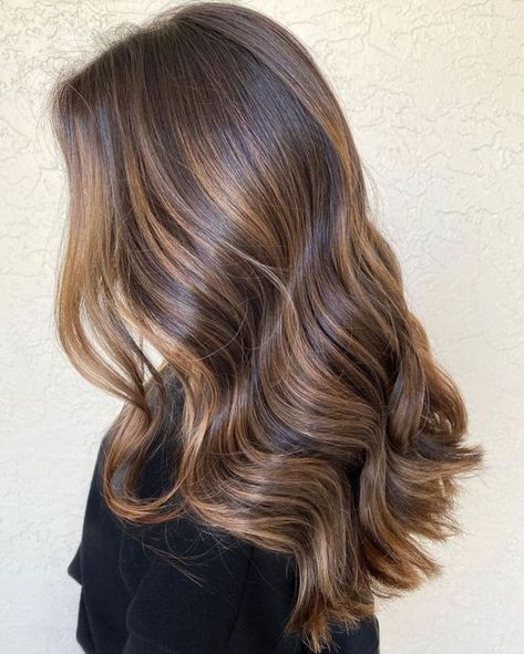 The Inspiration Photos I Took to My Last Salon Appointment, Part 2 (And why I was back to not getting what I wanted) Rambut Brunette, Honey Brown Hair, Brown Hair Looks, Brown Hair Inspo, Brunette Hair With Highlights, Brunette Balayage Hair, Brown Hair Balayage, Honey Hair, Balayage Brunette