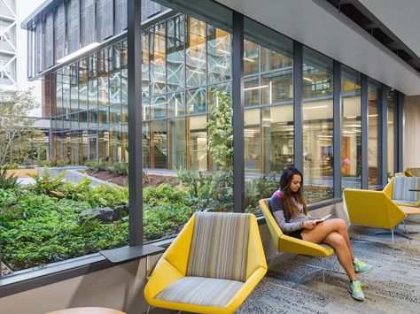 The library's courtyard offers a forest-like feel, calming stressed-out students and mirroring Oregon's natural environment. Library Architecture, Library Landscape, Library Building, Building A Kitchen, Boston Public Library, Study Rooms, Rain Garden, University Of Oregon, Library Design