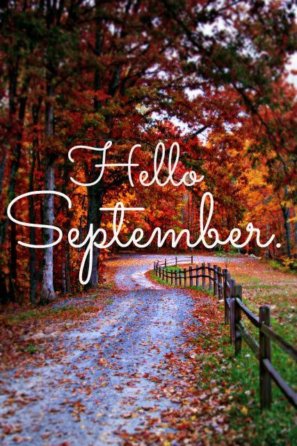 Well, happy September 1 to YOU!  Today is my very favorite day of the year... Happy September, Hello September, Days And Months, Seasons Of The Year, Happy Fall Y'all, Autumn Beauty, September 1, Hello Autumn, Fall Fun