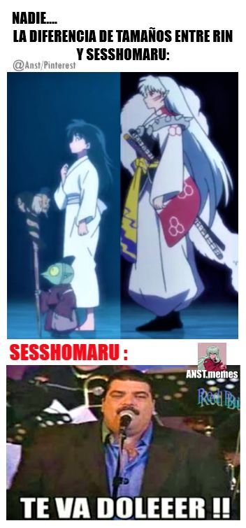 Inuyasha Rin, Rin And Sesshomaru, Seshomaru Y Rin, Inu Yasha, Memes Random, Memes Anime, Zero Two, Inuyasha, Studio Ghibli