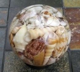 How to Make Resin Seashell Jewelry: Crafts with Seashells Seashells Crafts, Seashell Ideas, Beach Wreaths, Shell Projects, Shells Art, Beachy Stuff, Shell Display, Shell Ideas, Seashell Projects