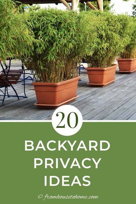 Patio Plants For Privacy, Privacy Terrace Ideas, Best Plants For Privacy Screen, Plants For Privacy On Deck, Deck Privacy Ideas With Plants, Yard Privacy Ideas Cheap, Plant Screening Ideas Outdoor, Plant Fence Ideas, Privacy Fence Ideas With Plants