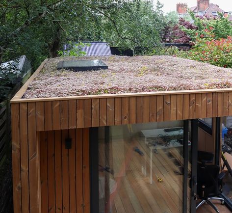 Sedum is an option to add to your OKOPOD roof. Adding a sedum roof to your OKOPOD garden room offers several benefits: Enhanced Insulation: Sedum roofs provide excellent insulation, keeping your garden room cooler in the summer and warmer in the winter. This helps reduce energy costs and maintain a comfortable working environment. Improved Biodiversity: Sedum plants attract various insects and birds, promoting local biodiversity. Your garden room can become a small ecosystem, supporting wi... Small Ecosystem, Sedum Roof, Sedum Plant, Garden Pods, Room Cooler, Reduce Energy, Natural Aesthetic, Garden Rooms, Environmental Health