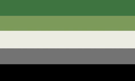 Arromantico Flag, Less Eye Straining Pride Flags, Soft Pride Flags, Aromatic Flag, Aro Flag, Aromantic Aestethic, Aromantic Flag, Nonbinary Flag, Lgbt Flag