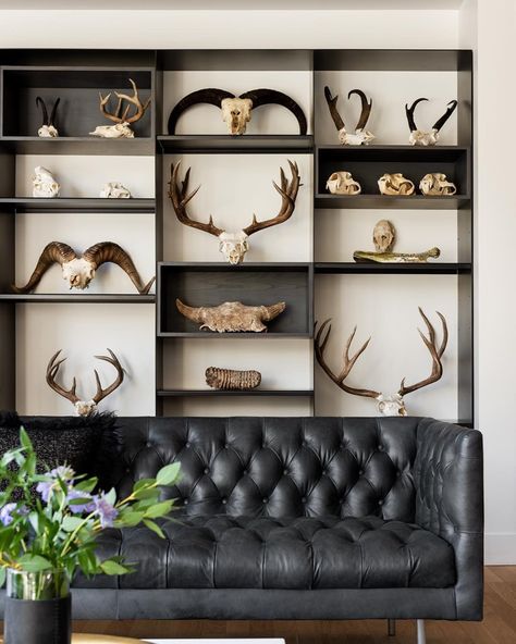 Aspen Chalet Interior Design, Deer Mounts In Living Room Farmhouse, Deer Mounts In Living Room, Taxidermy Decor, Western Gothic, Antlers Decor, Living Room Farmhouse, Deer Mounts, Hunting Room