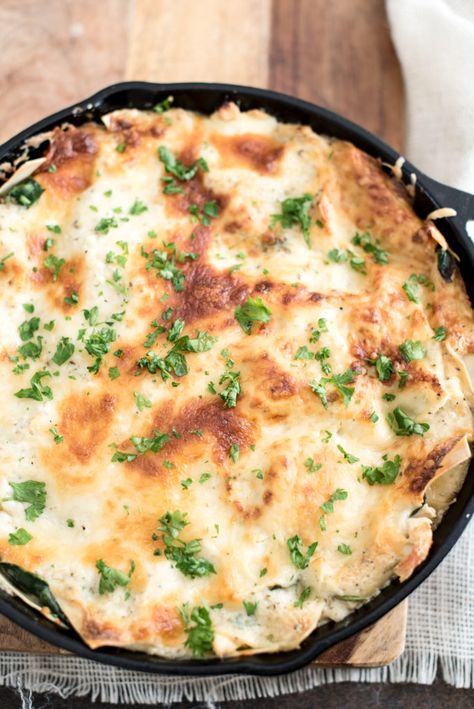 Chicken Alfredo Skillet Lasagna - First and Full Lasagna Skillet, Stewed Chicken, Alfredo Lasagna, Cheese All, Skillet Lasagna, Chicken Fresh, Garlic Cream Sauce, Chicken Stew, Chicken Alfredo