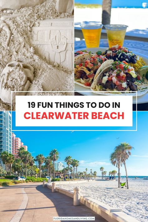 Clearwater Florida Things To Do In, Things To Do In Clearwater Florida, Clearwater Beach Florida Things To Do, Sand Key Beach Florida, Things To Do In Clearwater Beach, Clearwater Beach Florida Pictures, Smyrna Beach Florida, Clearwater Beach Florida Aesthetic, Florida Clearwater Beach