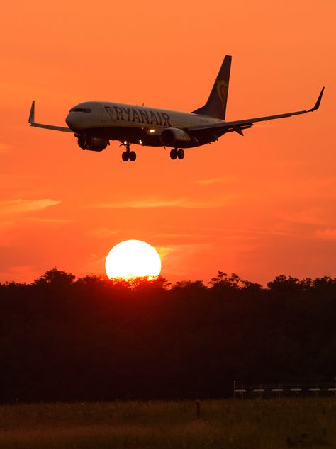 Ryanair _______________________________ Boeing 737-8AS EI-DLH Plane Asthetic Picture, Boeing 737 Wallpaper, Ryanair Aesthetic, Happiness Template, Aesthetic Plane, Plane Pictures, Airplane Aesthetic, Plane Photography, Plane Photos