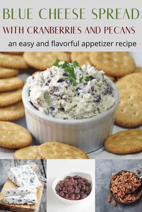 Blue cheese spread with cranberries and pecans is an easy and flavorful appetizer recipe Blue Cheese Spread For Crackers, Crumbled Blue Cheese Recipes, Appetizers With Blue Cheese, Cheese Spread Board, Blue Cheese Spread, Blue Cheese Appetizers, Cheese Logs, Cheese Spread Recipes, Blue Cheese Recipes