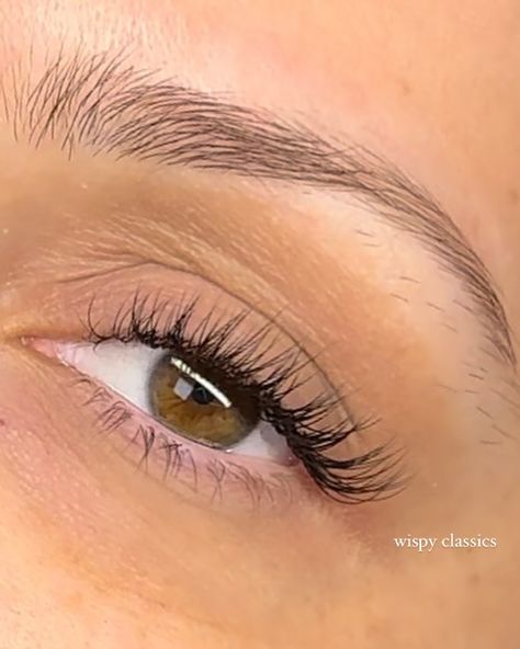 Some lash inspo for the girls who love lashes but also want to keep it natural ❤️🌹 Our Rose Signature Set and Light/Wispy Volume Set are two of our most popular services for those who are looking for the perfect balance between a natural look and a full, dark lash line. For those looking for something lighter, Classics are perfect. Wispy Classics provide extra depth and dimension while still being lightweight and natural. Finding the right lash artist to achieve your lash goals is so imp... Eyelash Extensions Styles Natural Simple, Whiskey Lashes, Light Wispy Lashes, Classic Full Set Lashes, Wispy Natural Eyelash Extensions, Wispy Classic Lash Extensions, Subtle Lashes, Classic Lashes Extensions, Natural Wispy Lash Extensions