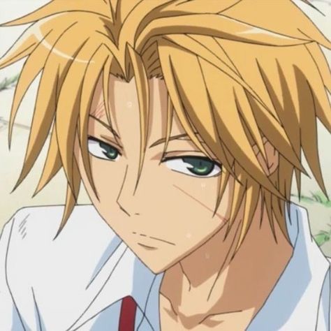 Your Biggest Fan, Maid Sama, You Love Me, Follow You, Anime Character, Anime Icons, Blonde, Fan, Hair