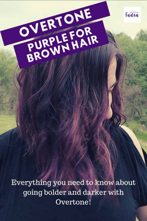 Purple Overtone On Brown Hair, Overtone Purple On Brown Hair, Dark Lavender Hair Color, Subtle Purple Hair Brunettes, Subtle Purple Highlights In Brown Hair, Purple Tinted Brown Hair, Brunette Purple Hair, Subtle Purple Hair, Ombre Hair At Home