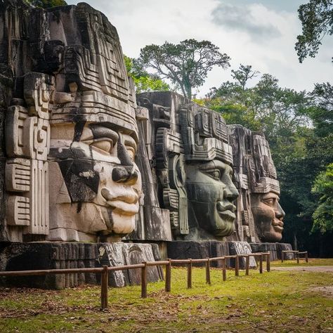 Historic World | 🔘 Olmec Heads 🔘  | Facebook Olmec Heads, Olmec Civilization, Lush Green Forest, Green Forest, Us History, Ancient Cultures, Lush Green, Lush, Around The Worlds