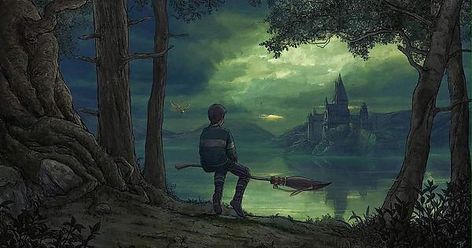 Harry Potter artworks - Album on Imgur By Vladislav Pantic Regulus Black Computer Wallpaper, Narnia Computer Wallpaper, Harry Potter Illustrations, Computer Wallpapers, Images Harry Potter, Harry Potter Artwork, Potter Art, Harry Potter Drawings, Harry Potter Pictures