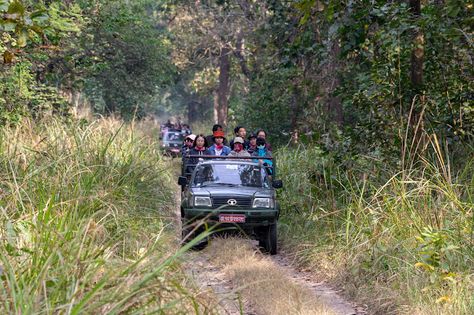 Chitwan Jungle Safari Chitwan National Park, Safari Jeep, Adventure Hat, Elephant Ride, Wild Elephant, Responsible Tourism, Jungle Adventure, Canoe Trip, Rare Species