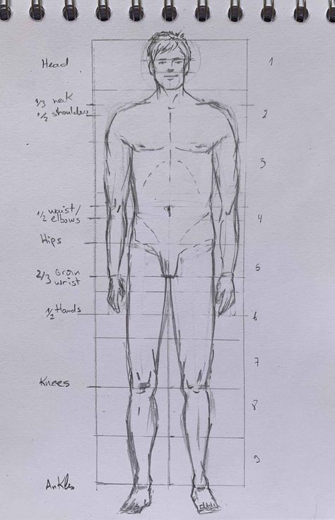 Beginner’s Guide to Drawing Realistic Human Figures | The Art and Beyond Figures Drawing, Male Figure Drawing, Man Drawing, Drawing Realistic, Form Drawing, Acrylic Art Projects, Fashion Drawing Tutorial, Human Figures, Human Figure Drawing