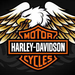 How To Draw Harley-davidson Logo, Harley-davidson, Step by Step, Drawing Guide, by Dawn | dragoart.com Harley Davidson Eagle Logo, Harley Davidson Kunst, Logo Harley Davidson, Harley Davidson Decals, Harley Davidson Crafts, Harley Davidson Images, Harley Davidson Posters, Harley Davidson Eagle, Harley Logo