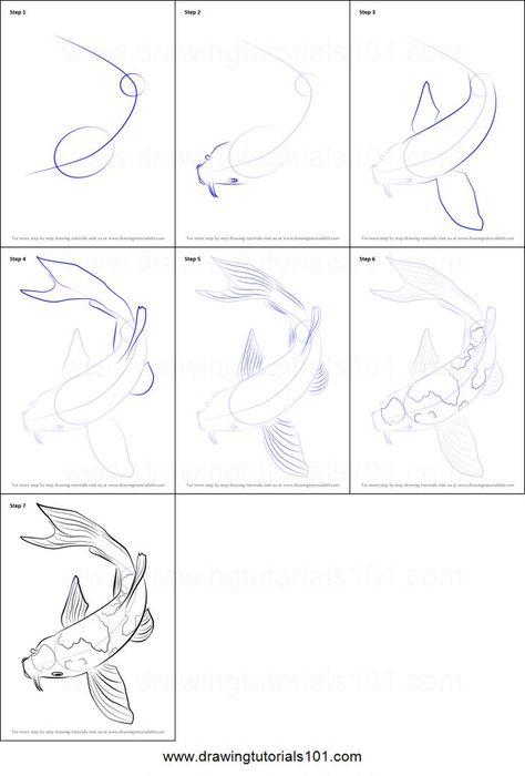 Intermediate Art Ideas, How To Draw A Goldfish Step By Step, Coi Drawings, How To Paint A Koi Fish, Fish Tutorial Drawing, How To Paint Koi Fish Step By Step, Coi Fish Sketches, Koi Fish Drawing Step By Step, How To Draw Goldfish