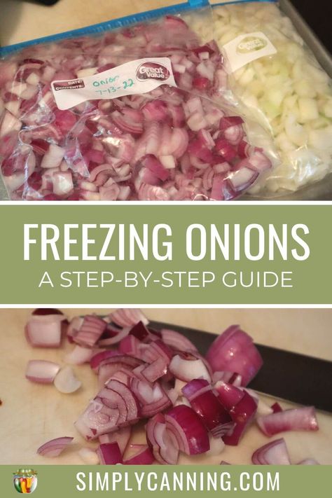 How To Freeze Onions And Peppers, Preserving Onions Food Storage, Freeze Onions How To, Freezing Onions How To, Freezing Green Onions, How To Freeze Onions, Canning Onions, Preserving Onions, Preserve Onions