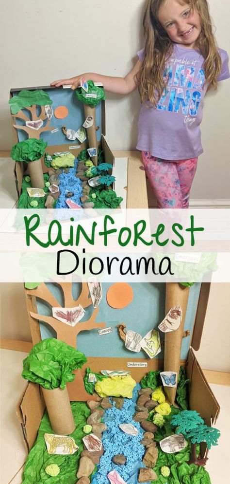 Jungle In A Box Project, Diy Rainforest Diorama, Rainforest Diaroma Ideas, Rain Forest Diorama For Kids, Rainforest Layers Project, Rainforest Diarama Ideas Kids, Rain Forest Habitat Project For Kids, Amazon Rainforest Diorama, Rainforest Habitat Diorama