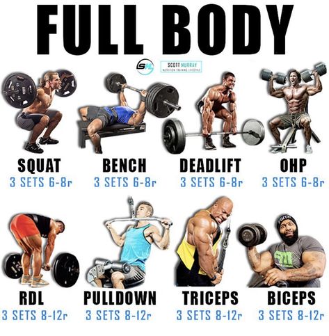 Push Pull Workout, Pull Day Workout, Fitness Studio Training, Full Body Workout Routine, Workout Splits, Trening Fitness, Weight Training Workouts, Mr Olympia, Different Exercises