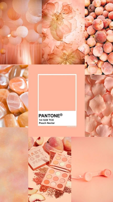 Peach Fuzz Color Aesthetic, Peach Fuzz Pantone 2024, Peach Fuzz Aesthetic, Peach Fuzz Color, Peach Outfit Ideas, Trending Gel Nails, Peach Color Aesthetic, Color Palette Peach, Peach Aesthetic Wallpaper