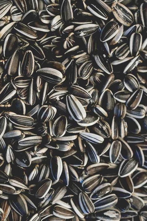 Benefits Of Sunflower Seeds, Sunflower Seeds Benefits, Healthful Foods, Seeds Benefits, Sunflower Butter, Best Multivitamin, Nuts & Seeds, Edible Oil, Good Sources Of Protein