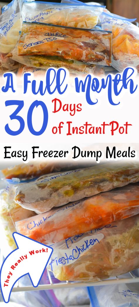 Ww Freezer Meals Make Ahead, Whole Food Freezer Meals, Instant Pot Freezer Dump Meals, Pork Freezer Meals, Freezer Dump Meals, Dump Bags, Instant Pot Easy, Instant Pot Freezer, Instant Pot Freezer Meals