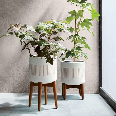 Mid-Century Turned Wood Leg Planters - Patterned West Elm Mid Century, Modern Planters, Planter Stand, Turned Wood, Monstera Plant, Outdoor Wood, Wood Glass, Ceramic Planters, Mid Century Style