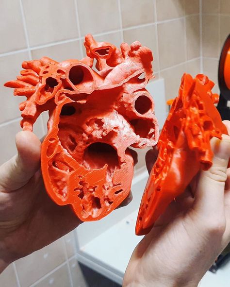 Reposting @josefprusa: 3D printed heart model.  Visit Soch3D.com to 3D print your models and get instant quotes. #3dprinting #soch3d #IoT #create #electronics #architecture #medical  #miniatures #figurines #advertising #3dscanning #art #design #3dprint Miniature Medical, 3d Printed Heart, 3d Printer Art, Science Models, What Is Fashion Designing, Heart Model, Book And Magazine Design, 3d Printing Art, 3d Printing Diy