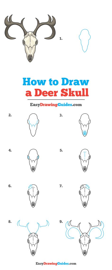 How To Draw Deer Skull, How To Draw A Cow Skull, Deer Head Drawing Easy, How To Draw Animal Skulls, Moose Skull Drawing, Deer Skull Drawing Simple, How To Draw Antlers, Wendigo Drawing Easy, Skull Drawing Tutorial Step By Step