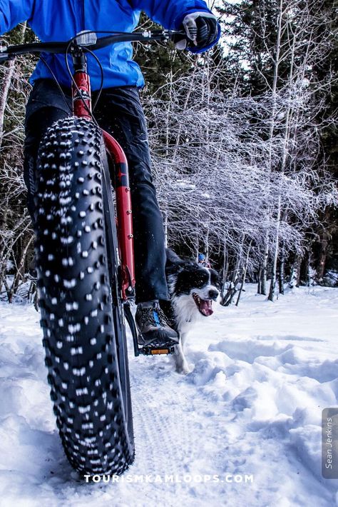 Alcove Beds, Winter Biking, Snow Trails, Kamloops Bc, Frosted Window, Window Panes, Fat Tire Bikes, Fat Bike, Old Bikes