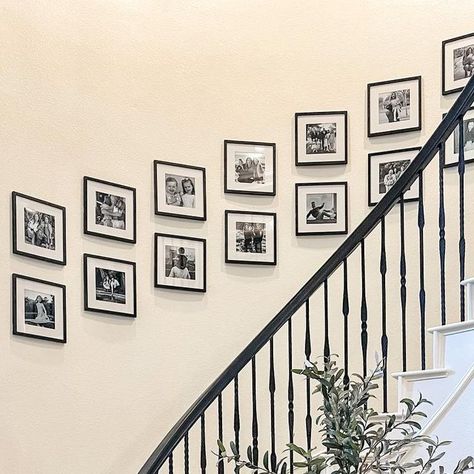 Ría Safford | Founder of RíOrganize on Instagram: "Who has a curved staircase they have no clue what to do with?! Y’all went bananas for the photo frames we installed over the staircase. I totally didn’t think this was possible because of the curve but I brought home a few sizes and this was the largest size that worked (12x12 squares) without being compromised. I bought two 12 frame sets and used 16 frames (the rest I used in another hallway). I also wanted a uniform feel with the photos so I chose to print all in black & white and am obsessed!!!! (Swipe for where this space began)
——
——
——
#entryway #staircase #curvedstaircase #entrywaydecor #homeplants #organizedhome #texashomedesign #stairphotography #hometransformation #stairs #gallerywall" Staircase Pics, Entryway Staircase, Stair Layout, Frame Arrangement, Stair Wall, Staircase Wall, The Staircase, Photo Composition, Curved Staircase