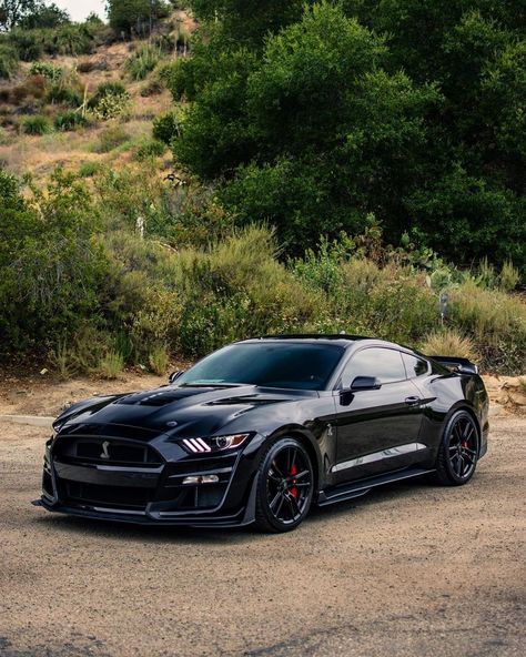 Black Mustang Gt, Mustang Gtr, Mustang Shelby Cobra, 2024 Ford Mustang, Black Mustang, Shelby Car, Mustang Gt500, Aesthetic Cool, Ford Mustang Car