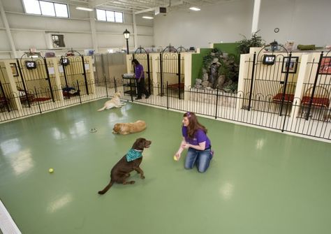 Take A Tour Of The Pet Palace Resorts | Dog Kennels in Columbus, Ohio Dog Boarding Facility Ideas, Dog Facility, Pet Hotel Design, Dog Boarding Ideas, Dog Daycare Business, Luxury Dog Kennels, Dog Boarding Facility, Dog Boarding Kennels, Dog Kennel Designs