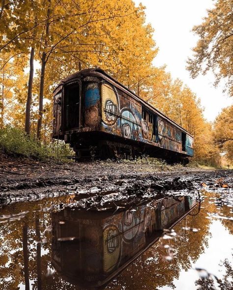 Railroad Track Pictures, Abandoned Trains, Track Pictures, Derelict Buildings, Building Photography, Abandoned Train, Abandoned Ships, Railroad Photography, Train Art