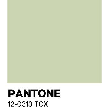 "Pantone Seafoam Green" Poster for Sale by piastrelli Light Green Pantone, Olive Pantone, Green Pantone, Green Everything, Green Poster, Pantone Colors, Colors Green, Seafoam Green, Pantone Color