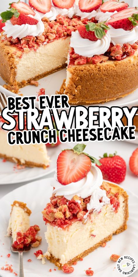 Funnel Cake Cheesecake, Best Cheesecake Toppings, Strawberry Crunch Banana Pudding Cheesecake, Cherry Crumble Cheesecake, Strawberry Cheesecake Dessert Recipes, Cool Cheesecake Recipes, Strawberries And Cream Cheesecake Cake, Crazy Cheesecake Recipes, Strawberry Cheesecake Recipe Easy No Bake