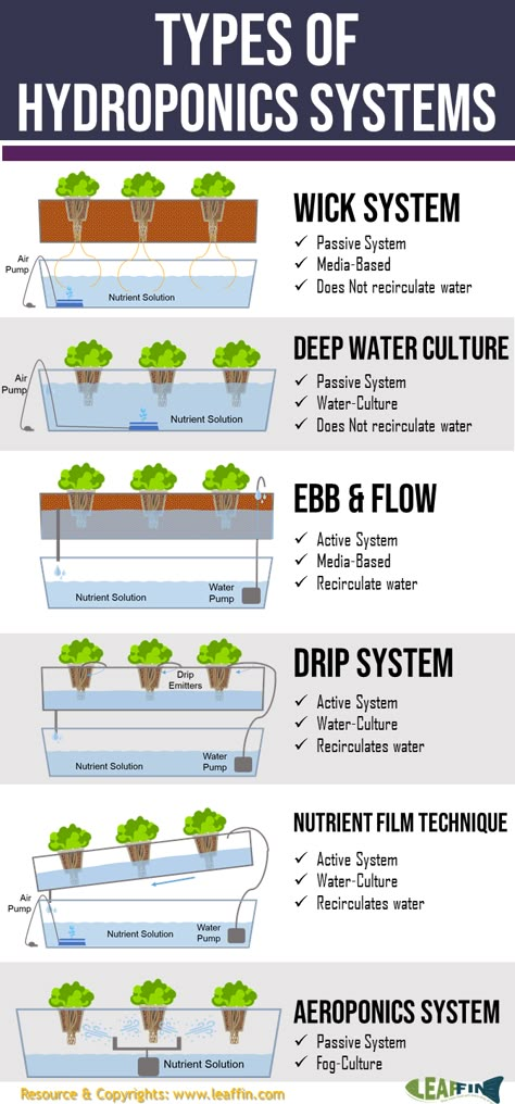 There are 6 basic types of hydroponic systems; Wick, Water Culture, Ebb and Flow (Flood & Drain), Drip (recovery or non-recovery), N.F.T. (Nutrient Film Technique) and Aeroponic. There are hundreds of variations on these basic types of systems, but all hydroponic methods are a variation (or combination) of these six. Hydroponic Gardening Diy, How To Grow Plants, Aquaponics Greenhouse, Affordable Backyard Ideas, Hydroponic Systems, Aquaponics Diy, Film Technique, Hydroponic Farming, Hydroponics Diy