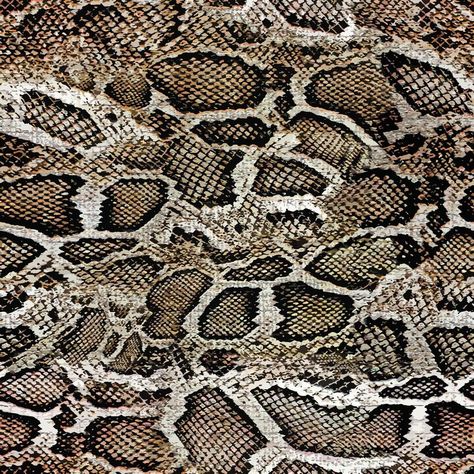 snake skin seamless vector pattern Snake Hides, Snake Skin Texture, Texture Seamless, Seamless Pattern Design, Snake Skin Pattern, Skin Pattern, Textile Pattern, Snake Patterns, Acrylic Sheets