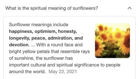 Sunflower Meaning Spiritual, Sunflowers Meaning, Sunflower Symbolism, Sunflower Meaning, Yellow Meaning, Sunflower Facts, Hat Bouquet, Floral Bakery, Meaning Of Sunflower