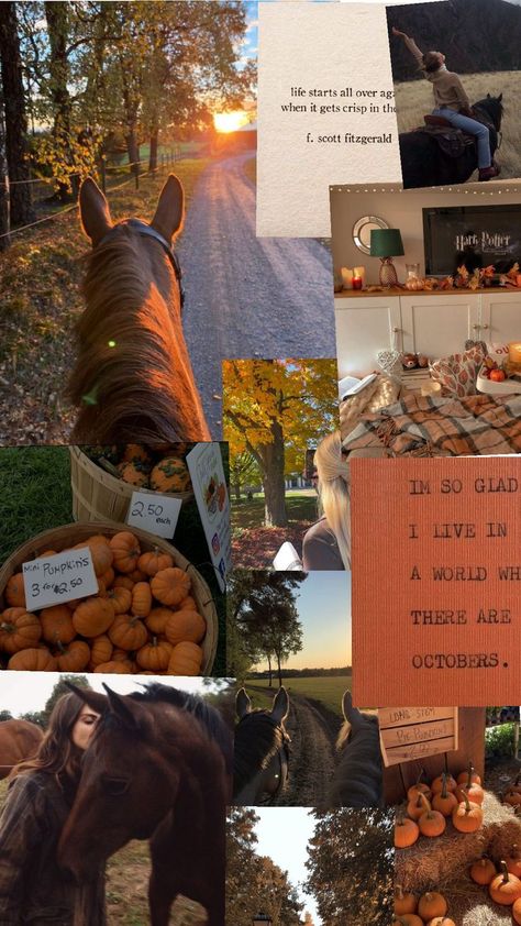 equestrian fall inspo Equestrian Fall Aesthetic, Western Equestrian Aesthetic, Autumn Equestrian Aesthetic, Halloween Horse Wallpaper, Autumn Horse Aesthetic, Fall Horse Wallpaper, Equestrian Life Aesthetic, Equestrian Aesthetic Wallpaper, Autumn Horse