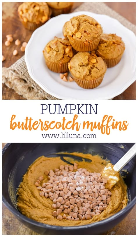 Pumpkin And Butterscotch, Pumpkin Butterscotch Cake, Butterscotch Chip Muffins, Butterscotch Scones Recipe, Butterscotch Pumpkin Muffins, Pumpkin Chip Muffins, Pumpkin Butterscotch Bread, Butterscotch Muffins Recipe, Recipes With Butterscotch Chips