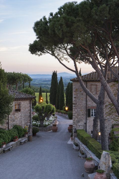 Wine Resort, the Taste of Waking Up in a Vineyard - La Cucina Italiana Pretty Places, Cottage Chic, Travel Aesthetic, Siena, Old Money, Tuscany, Places To Go, Beautiful Places, Vision Board